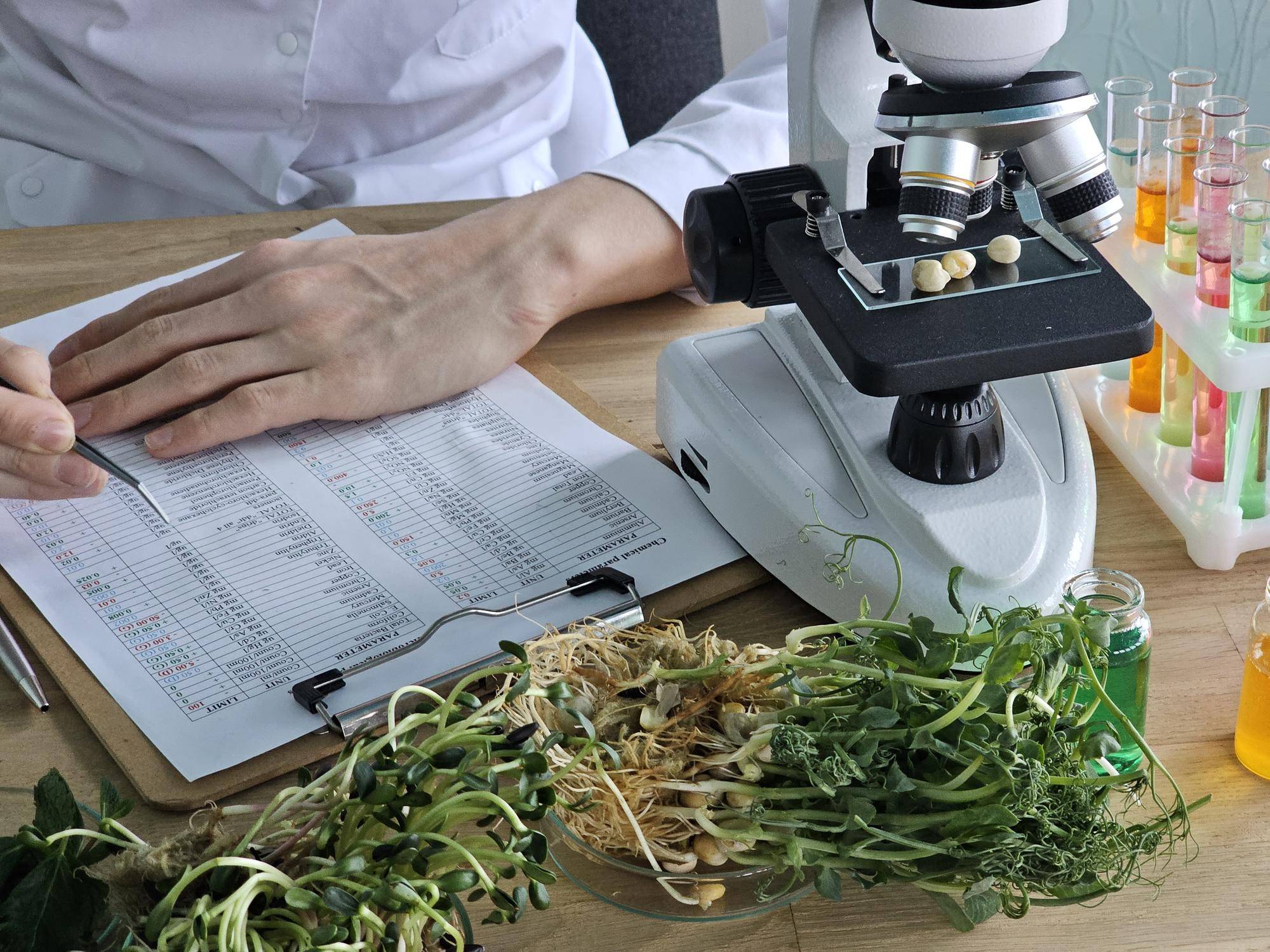 Czym zajmuje się biotechnologia tradycyjna w codziennym życiu?