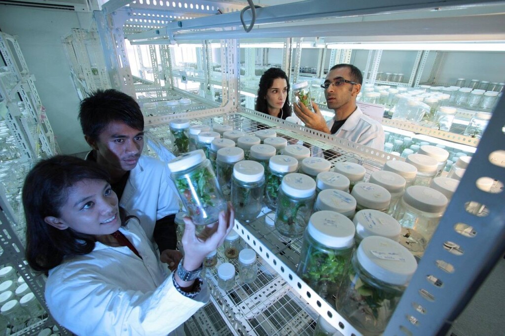 Biotechnologia tradycyjna co to jest i jak wpływa na nasze życie?
