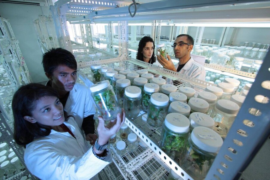 Biotechnologia tradycyjna co to jest i jak wpływa na nasze życie?