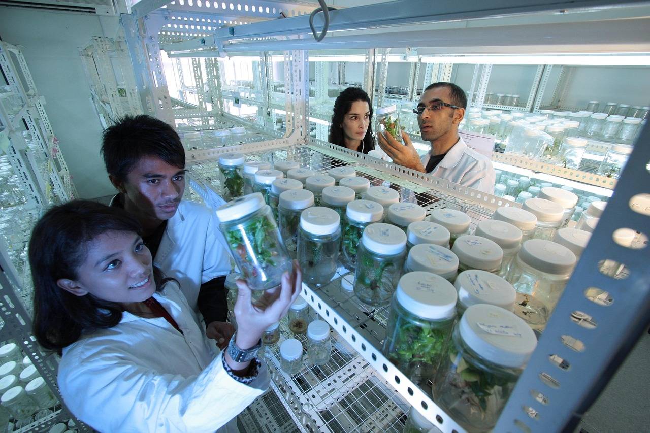 Biotechnologia tradycyjna co to jest i jak wpływa na nasze życie?