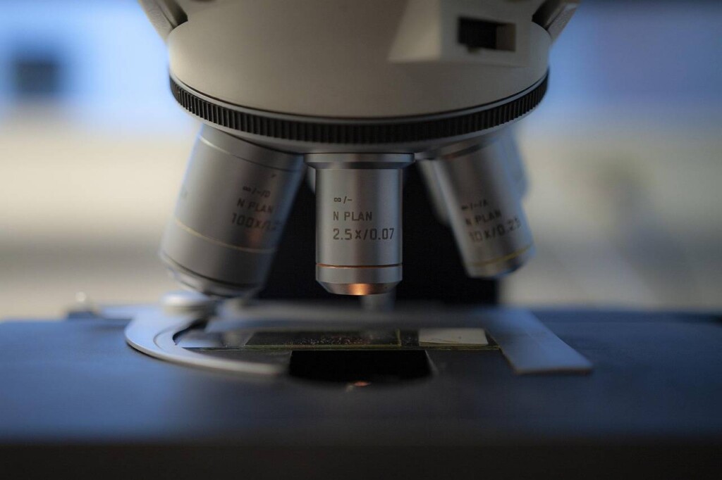 Co to jest biotechnologia nowoczesna i jak wpływa na nasze życie?